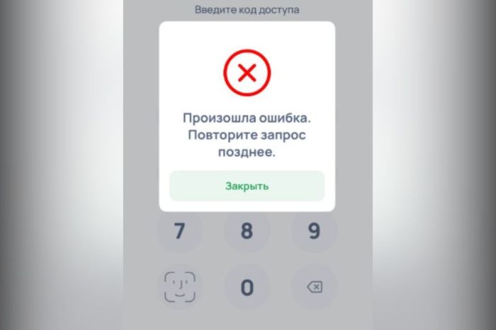 В Казахстане произошел массовый сбой в приложении Halyk Bank