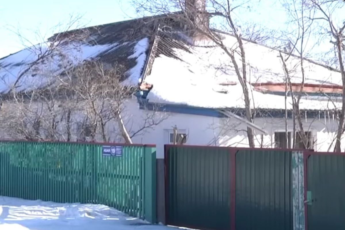 скриншот видео