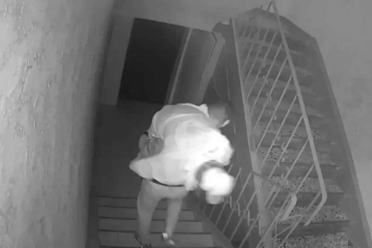 скриншот видео