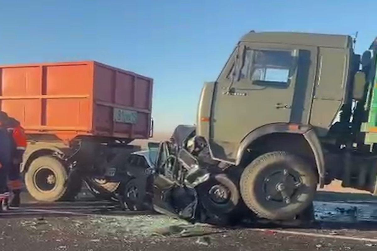 скриншот видео скриншот видео