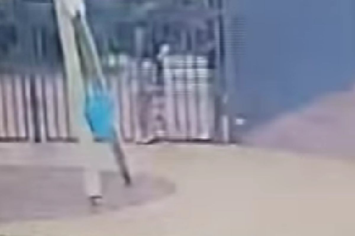 скриншот видео