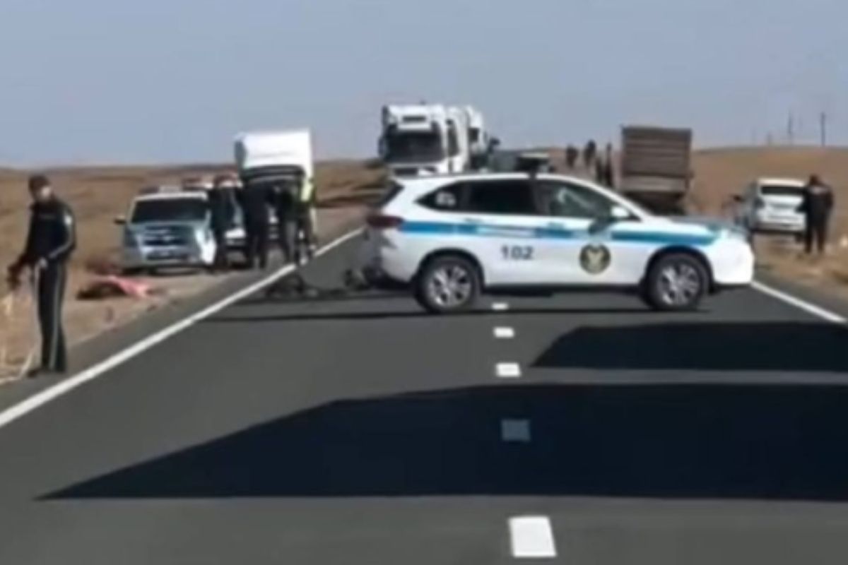 стоп-кадр видео