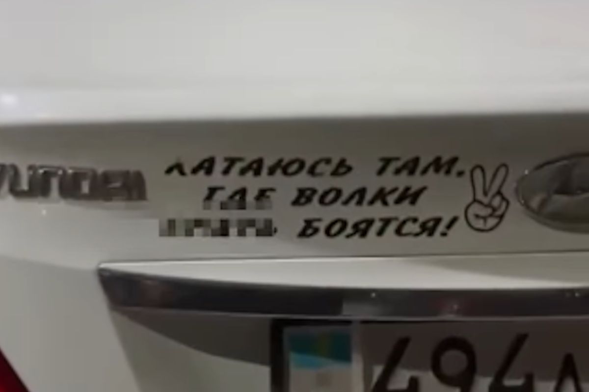 скриншот видео