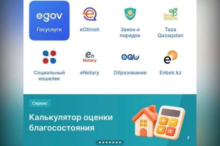 Казахстанцы раскритиковали калькулятор благосостояния — доступ к сервису ограничили