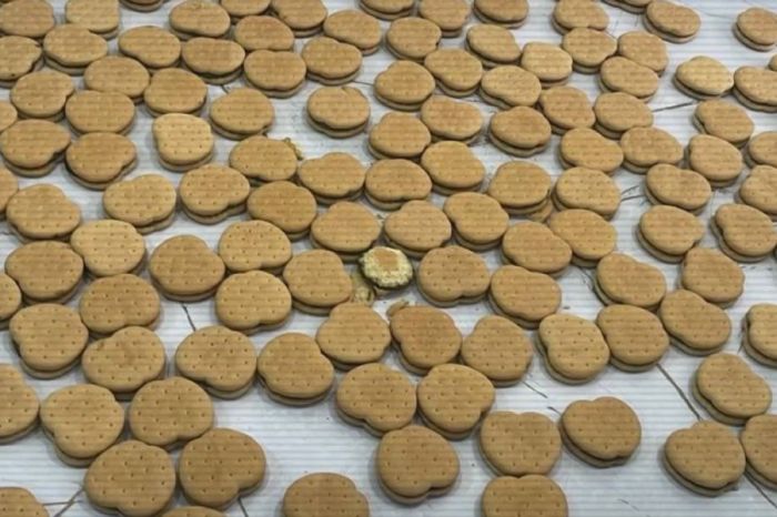 «Печенье» с гашишем: МВД и СГО накрыли крупный наркошоп в Астане