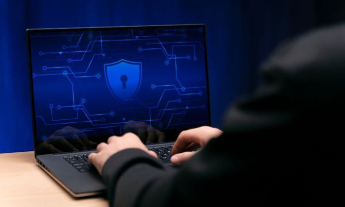 Сайты по всему миру начали отключать из-за двух опасных уязвимостей PHP
