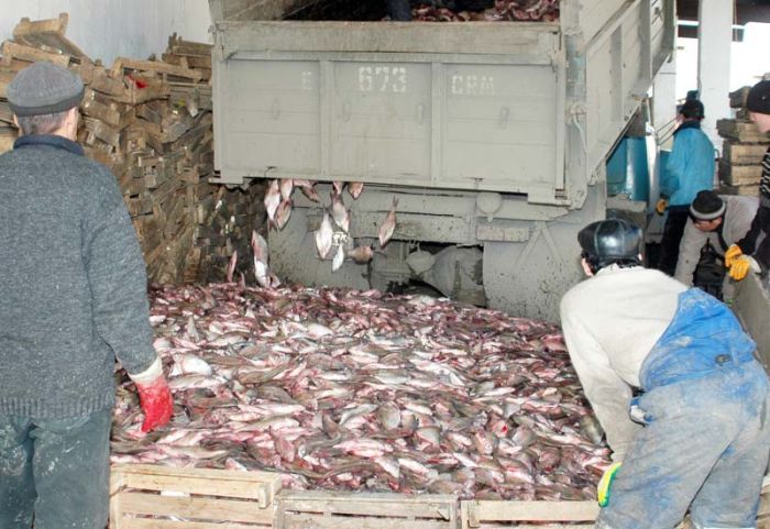 В Атырау оправданы трое работников рыбоохраны