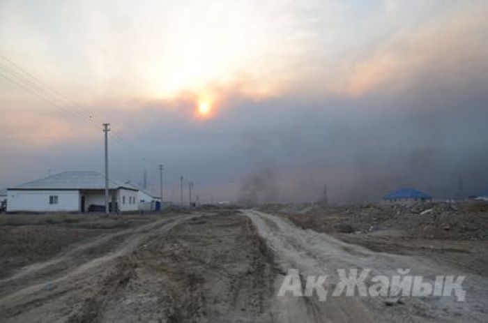Пожар в резервате «Ак Жайык»