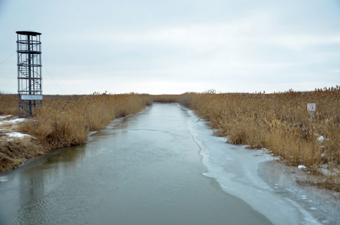 А как же крещенские морозы?..