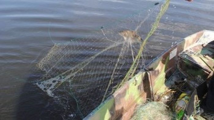 Более десятка сайтов по продаже незаконных рыболовных сетей закрыто в Казахстане
