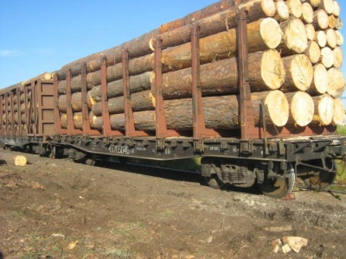 Четыре вагона с древесиной сошли с рельсов в Таразе