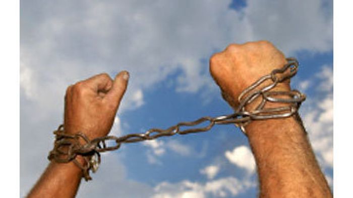 Около 250 уголовных дел за торговлю людьми возбуждается ежегодно в Казахстане – МВД