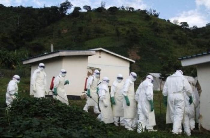 Ученые выявили способ отключения иммунной защиты вирусом Эбола