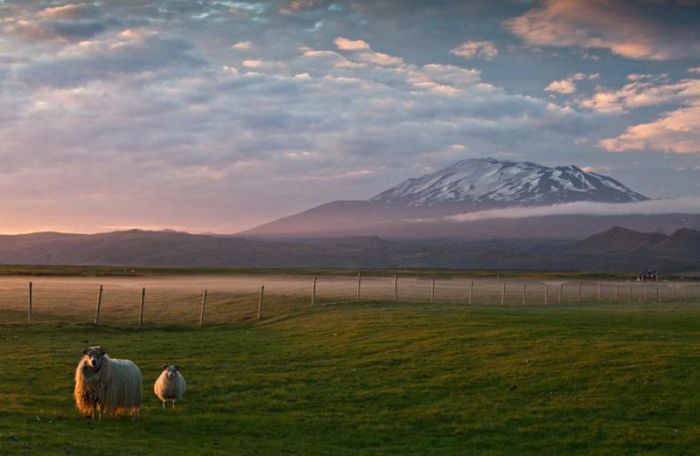 Исландский вулкан Бардарбунга угрожает новым авиаколлапсом