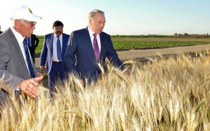 Назарбаева возмутила упущенная возможность накормить Россию