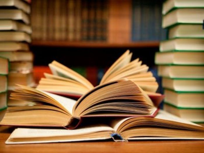 Есть сговор издательств и акиматов в обеспечении школ учебниками - Назарбаева