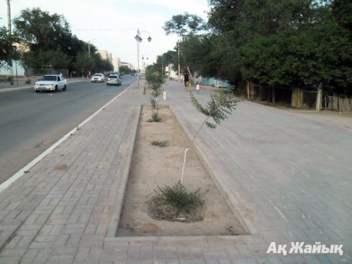 Бойцы «Жасыл Ел» ждут зарплату