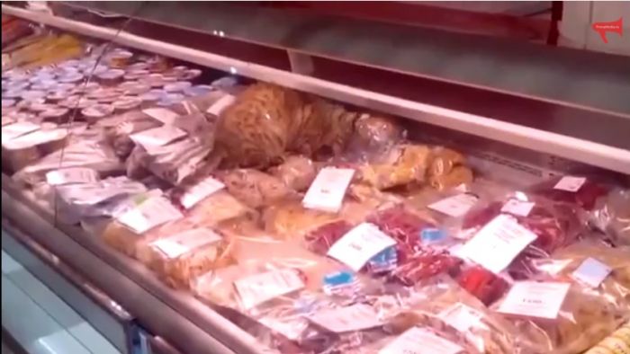 Кот съел морепродуктов более чем на $1 тыс в аэропорту Владивостока