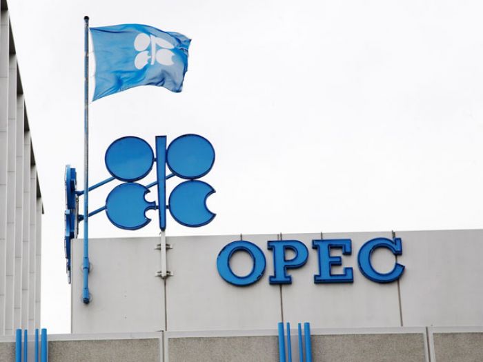 В ОПЕК обвиняют в падении цен на нефть "новичков рынка"