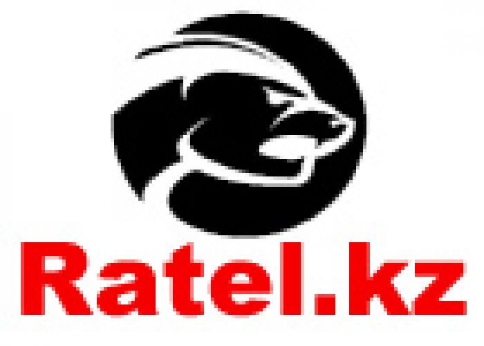Заблокирован интернет-портал Ratel.kz