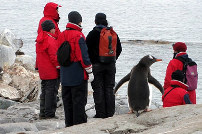 В Антарктиду позвали работать готовых долго не мыться людей