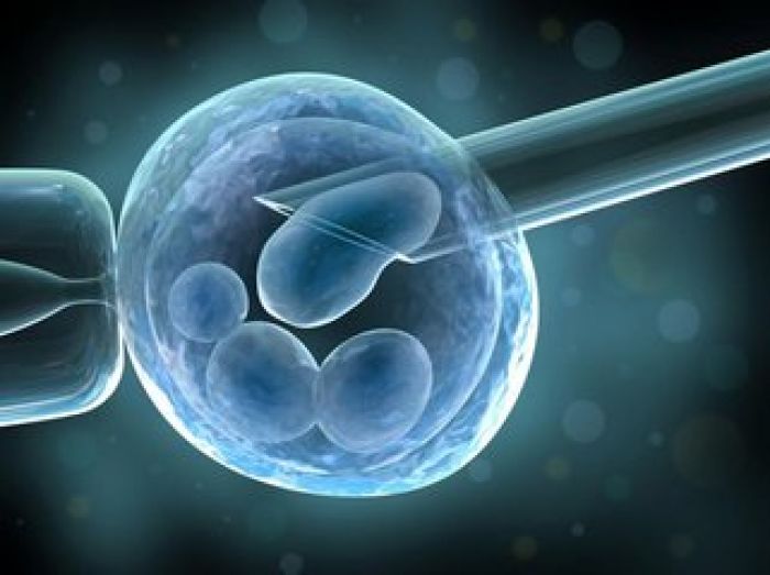 Британия одобрила создание эмбрионов из ДНК трех человек