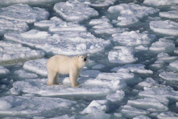 Ученые фиксируют рекордно малый ледяной покров в Арктике