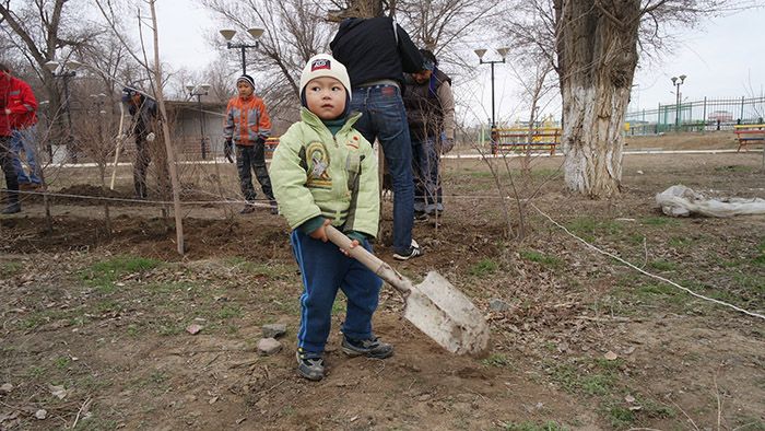 В Жилгородке будет зелёный лабиринт