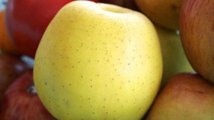 Россельхознадзор не пустил в РФ более 390 т польских яблок, следовавших в Казахстан