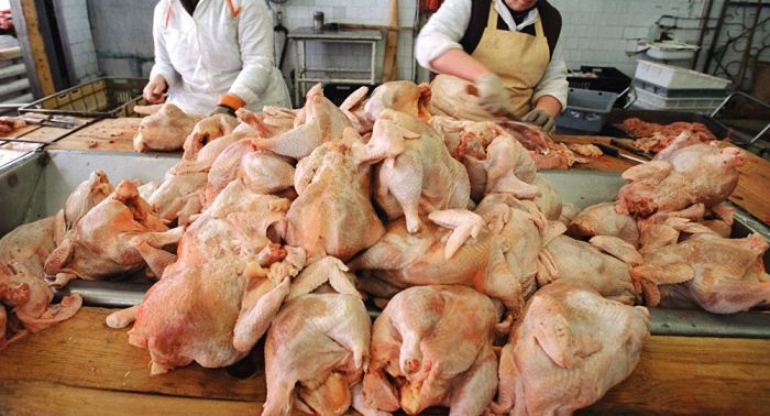 Зараженное сальмонеллой российское мясо птицы изъяли в Кокшетау