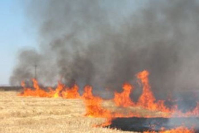 Степной пожар в Кызылкогинском районе