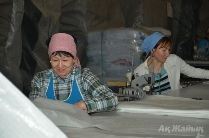 Казахстанские предприятия могут не выдержать конкуренции в условиях ВТО