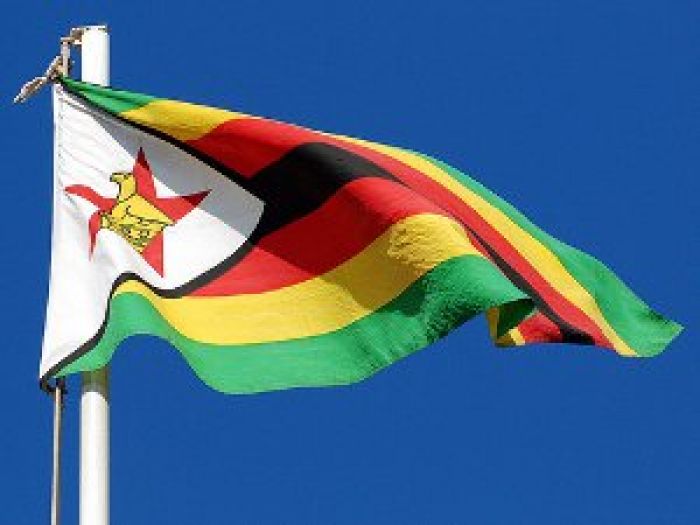 Зимбабве хочет заключить соглашение о зоне свободной торговли с ЕАЭС