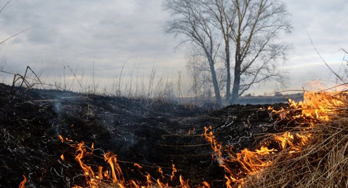 Крупный природный пожар потушен в ВКО