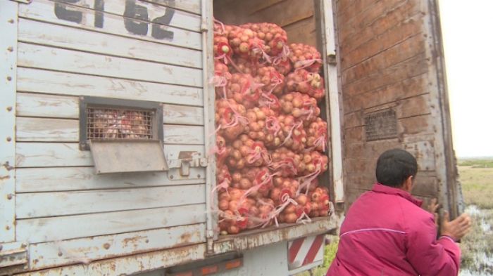 Узбекистан запретил вывозить из страны плодоовощную продукцию фурами