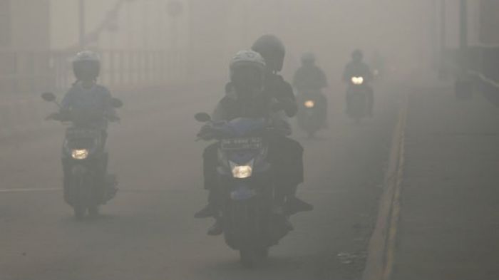 19 человек погибли из-за смога в Индонезии