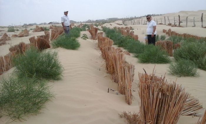 Пески наступают в трёх районах