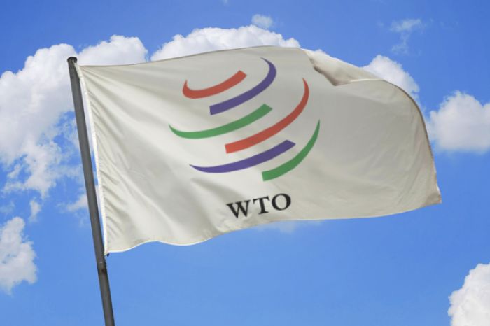 В Казахстан придет удешевленный импорт из стран ВТО