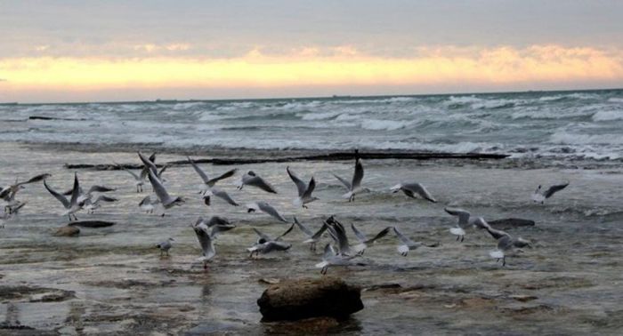 ​Азербайджанский министр обвинил Казахстан в загрязнении Каспия нефтью