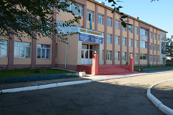 После массовой драки в казахско-турецком лицее в Караганде уволен директор