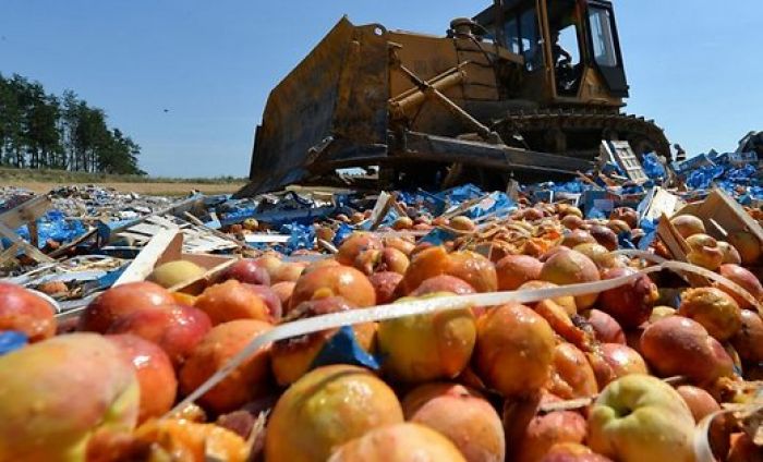 В России за полгода уничтожено 2500 тонн запрещенной к ввозу еды