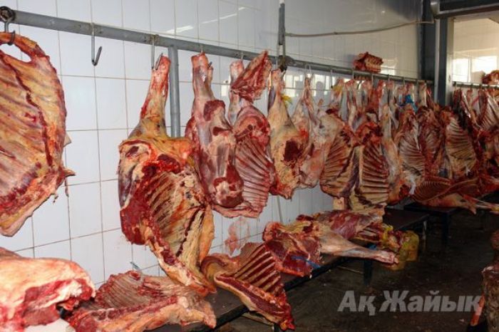  Более 16 тысяч тонн мяса экспортировал Казахстан в 2015 году