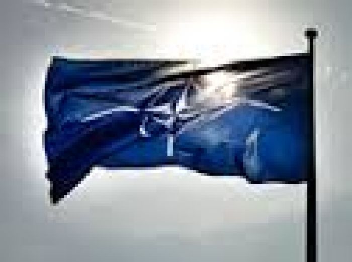 В НАТО объяснили, зачем истребители альянса сопровождали самолет Шойгу над Балтикой