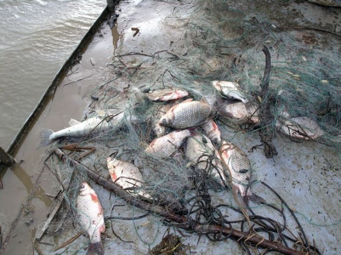 Жанбайские рыбаки легализовались?