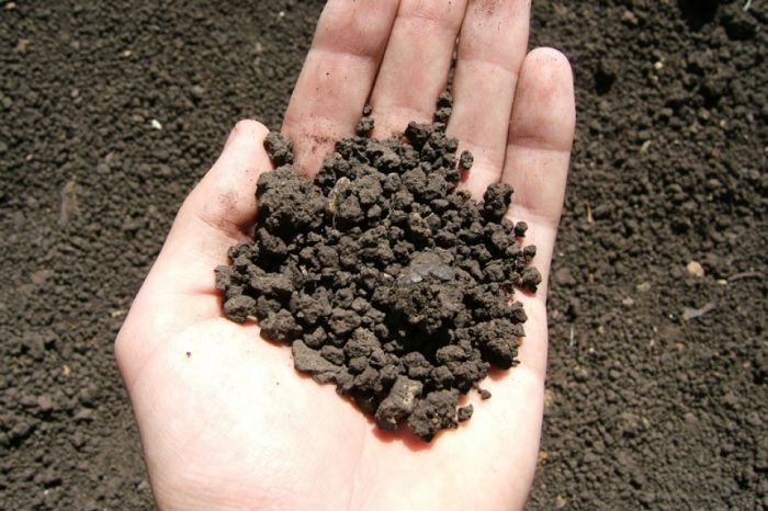 Это не мое! Но нужно и важно. О земельном...