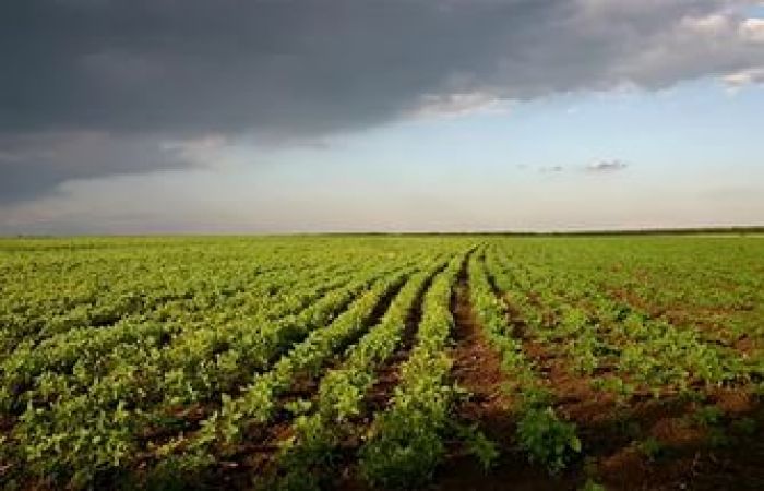 ​В Казахстане усилена работа по контролю за рациональным использованием земель