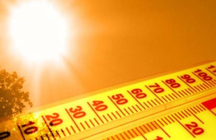 ​До +35ºС прогреется воздух на юге и западе Казахстана в ближайшие три дня