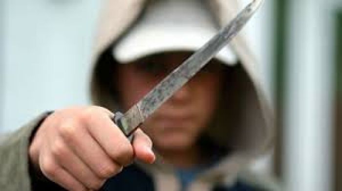 Разбойники угрожали хозяйке кием и кухонным ножом