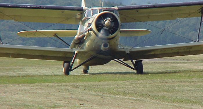 Ан-2 аварийно сел в Алматинской области, пострадали два человека