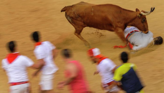 Четыре человека пострадали во время забега быков в испанской Памплоне